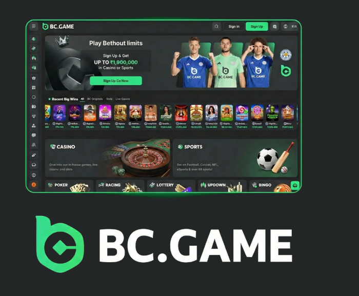 Exploring BC.Game The Future of Online Gaming in Spain -415546697